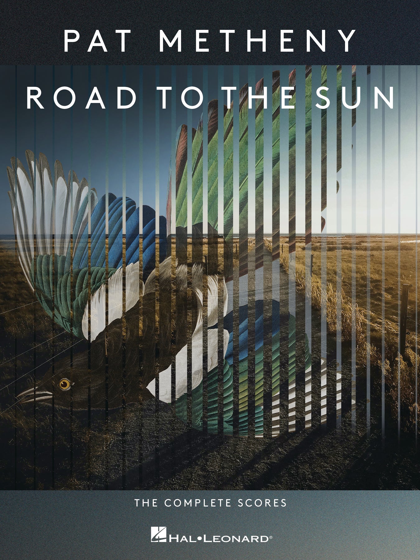 Pat Metheny - Road to the Sun (The Complete Scores