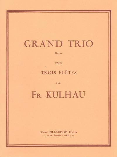 大3重奏曲（グランド・トリオ）ロ短調 Op.90（フルート3重奏）／Grand Trio Op. 90 (Flute Trio)