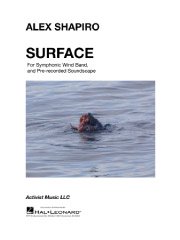 イマージョンよりサーフェイス／Surface from Immersion